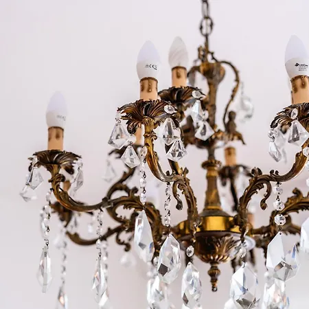 Helianthus * Romito Magra