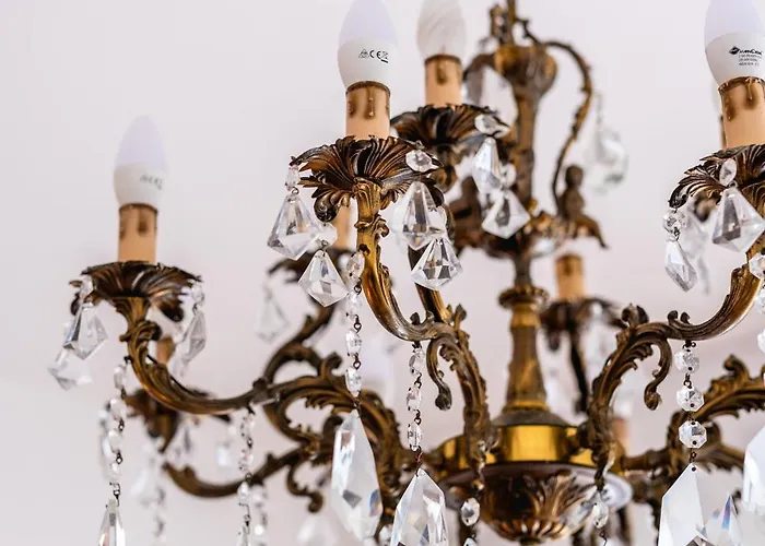 Helianthus * Romito Magra