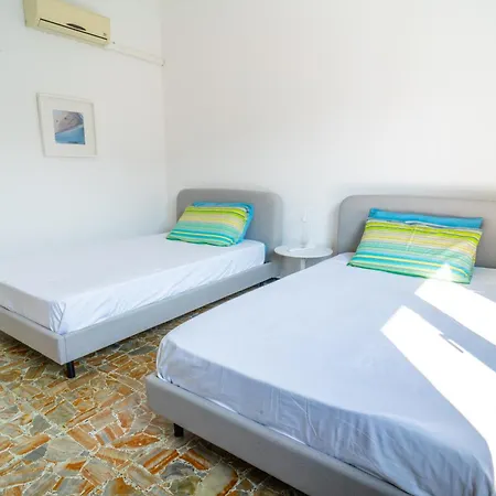 Helianthus Romito Magra