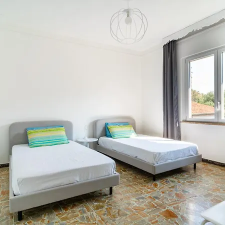 Helianthus Daire Romito Magra