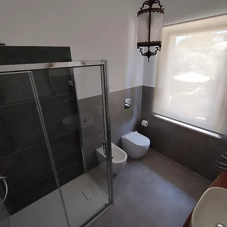 Helianthus Romito Magra