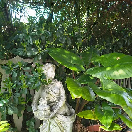 Helianthus 아파트 Romito Magra